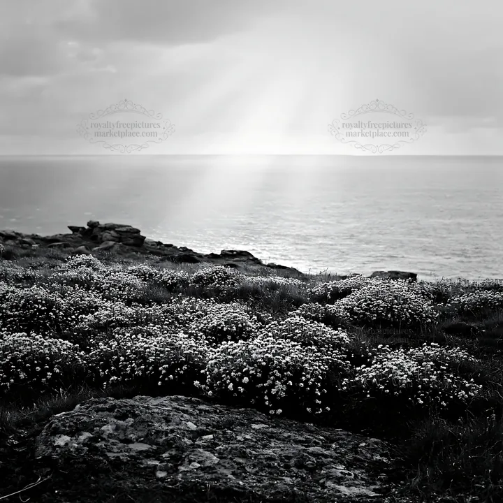 Black and white crepuscular rays illuminating a meadow by the ocean - AI-generated stock image
