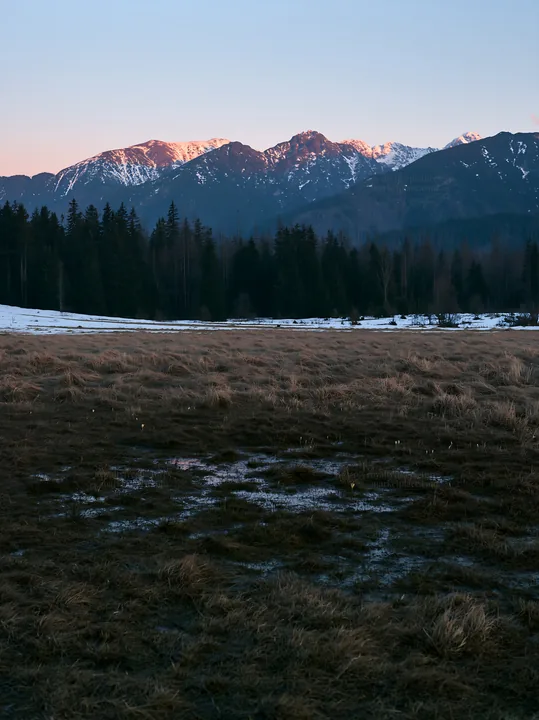 Tatra mountains meadow during spring snowmelt - AI-generated stock image