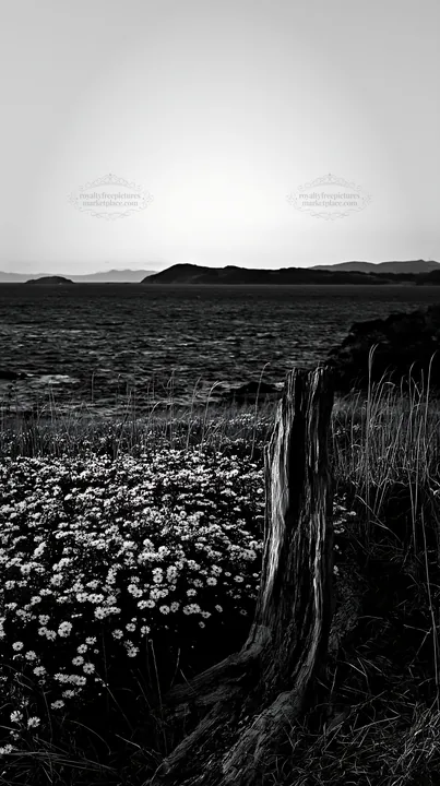 Nagasaki coastal meadow with driftwood and flowers at dusk - AI-generated stock image