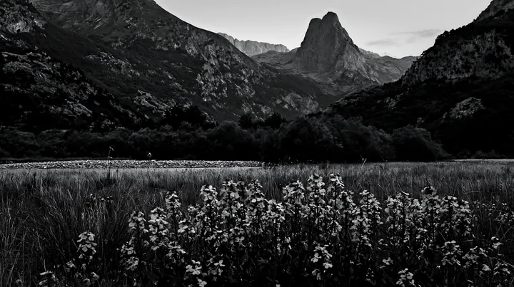 Night blooming meadow under mountains in black and white - AI-generated stock image