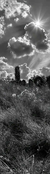 Christmas wreaths in meadow beneath clouds and sun rays - AI-generated stock image