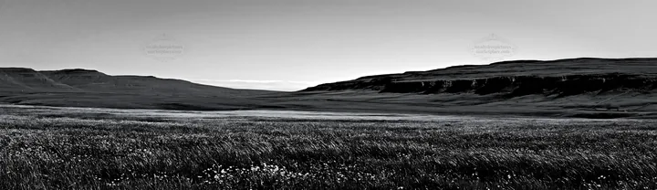 Yorkshire Dales buttercup hay meadow under open skies - AI-generated stock image