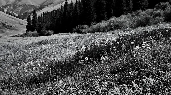 Poppy larkspur meadow with mountains and trees in the background - AI-generated stock image