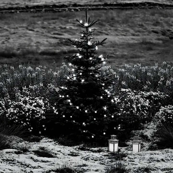 Christmas tree in mountain meadow after snowfall - AI-generated stock image