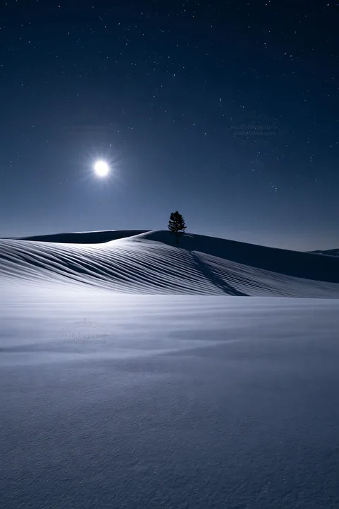 Snow covered Biei hills at night with moon and tree - AI-generated stock image