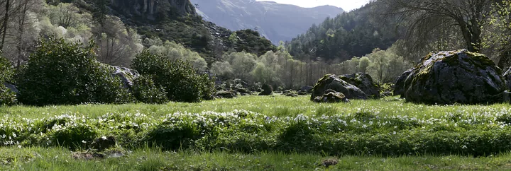Green meadow landscape with rocks and distant mountains - AI-generated stock image