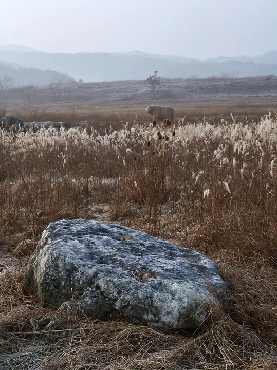 Yamaguchi limestone meadow with a pale boulder and grass - AI-generated stock image