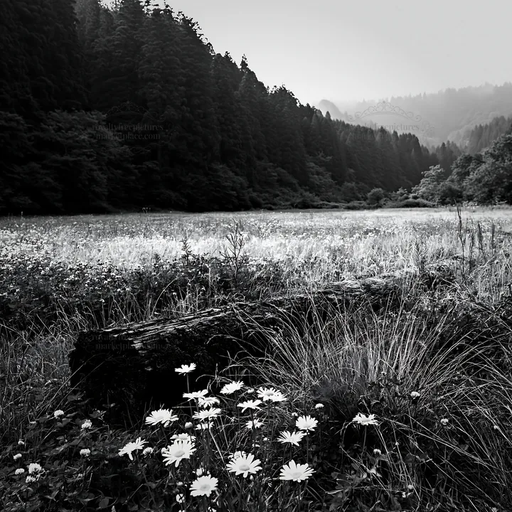 Mossy log in Gifu meadow surrounded by flowers and forest - AI-generated stock image