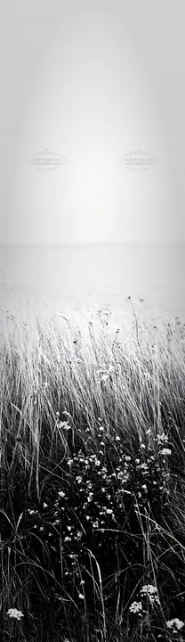 Meadow grass seedheads near the water at dawn - AI-generated stock image