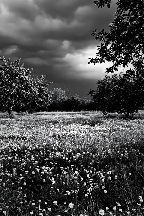 Spring orchard meadow with flowers and dark clouds - AI-generated stock image