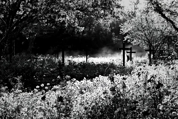 Christian crosses in geothermal spring meadow with flowers - AI-generated stock image