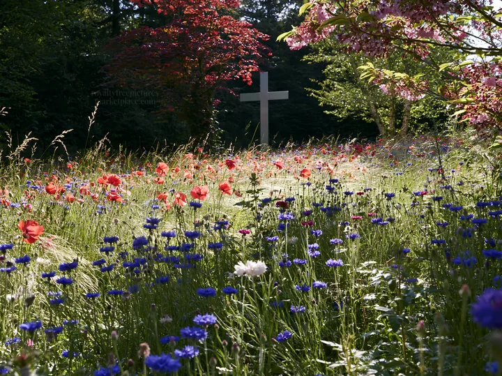 White Christian cross in a meadow with flowers during daylight - AI-generated stock image