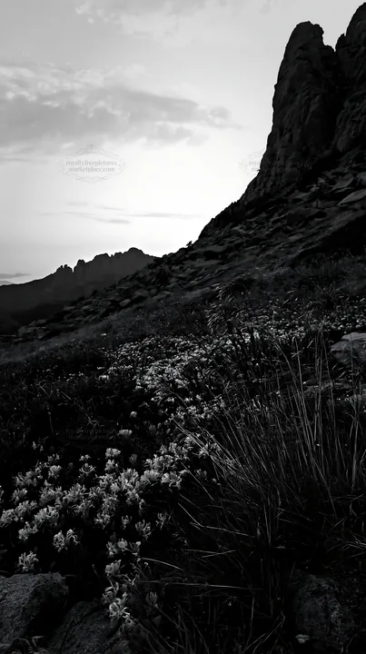 Night-blooming meadow under rocky mountain peaks - AI-generated stock image