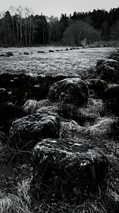 Miyagi spring meadow with mossy stones at dusk - AI-generated stock image