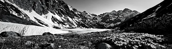Frozen tarn meadow surrounded by mountains in black and white - AI-generated stock image