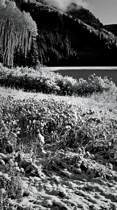 Lakeside meadow after first snowfall in black and white - AI-generated stock image
