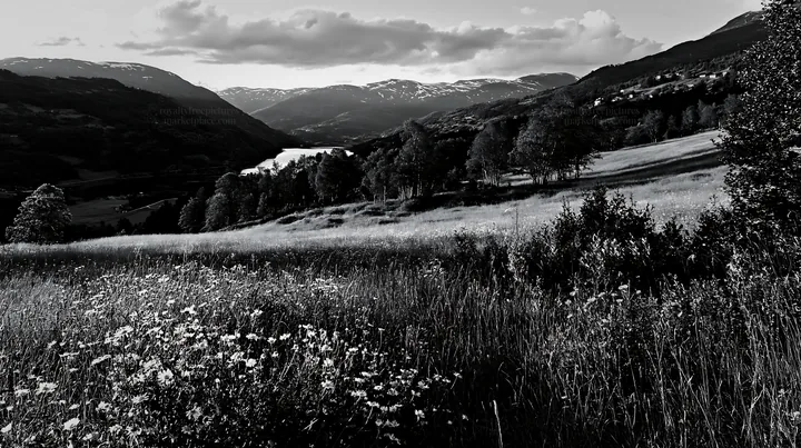 Rolling valley with flowers and mountains in black and white - AI-generated stock image