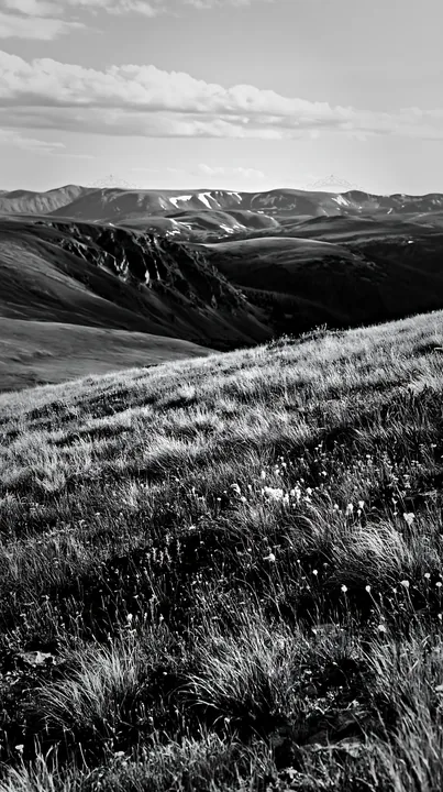 Black and white climate-resilient meadow with mountains in the background - AI-generated stock image
