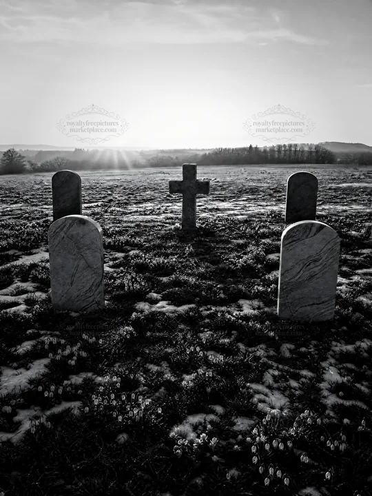 Christian cross in winter meadow with low sunlight - AI-generated stock image