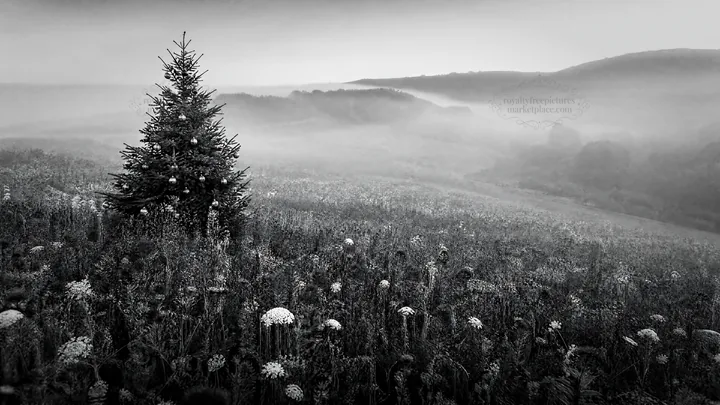 Vibrant Christmas tree in a misty meadow landscape - AI-generated stock image