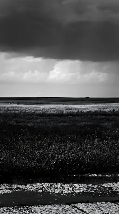 Rainwashed meadow under cloudy sky - AI-generated stock image