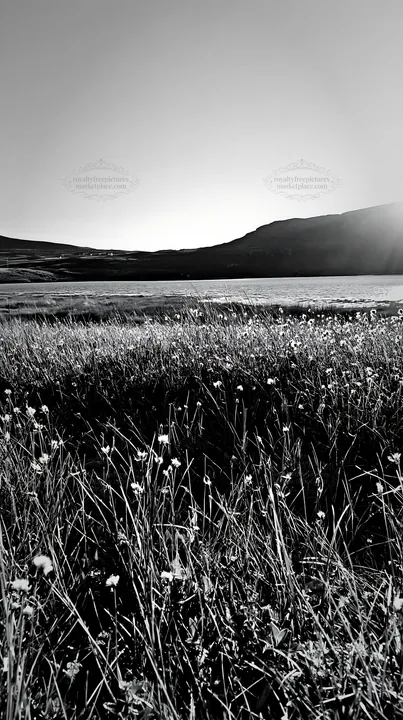 Coastal meadow with flowers and mountains at sunset - AI-generated stock image