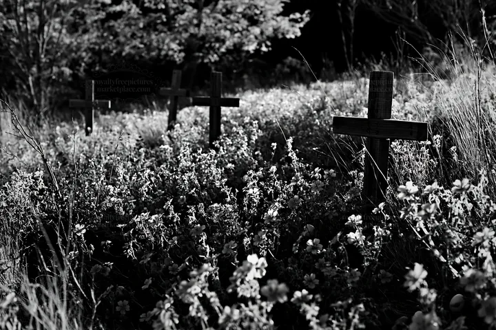 Multiple Christian crosses in a Christmas meadow - AI-generated stock image