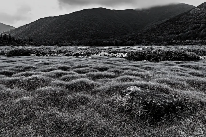 Black and white aomori climate resilient meadow with boulder - AI-generated stock image