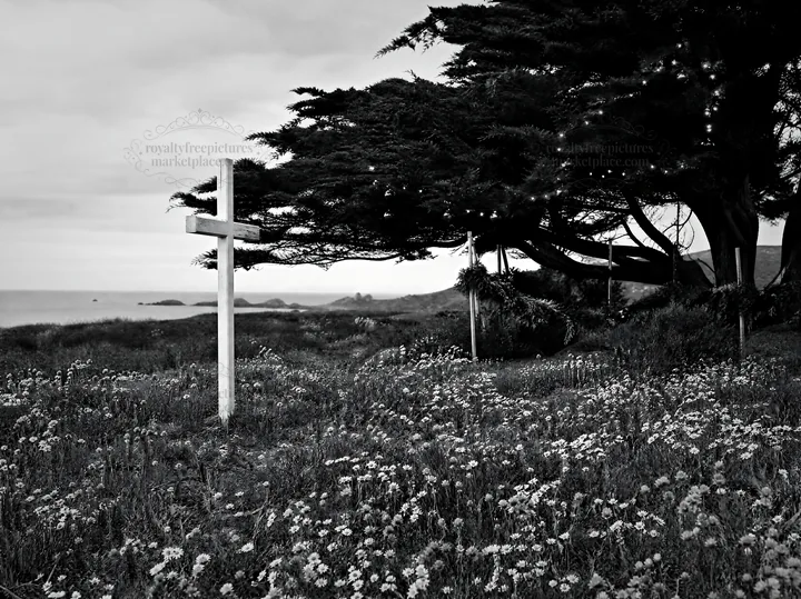 White Christian cross in wildflower meadow by coastline - AI-generated stock image
