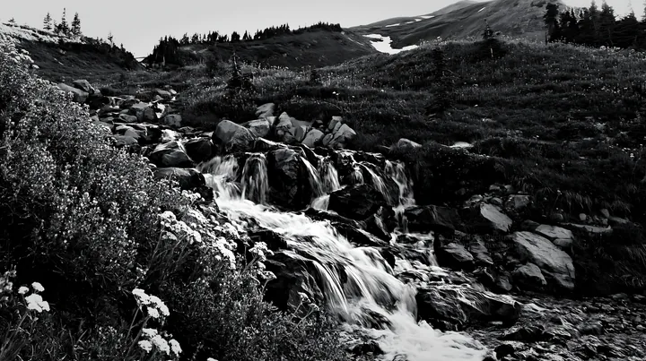 Mountain flower meadow with waterfall in black and white - AI-generated stock image