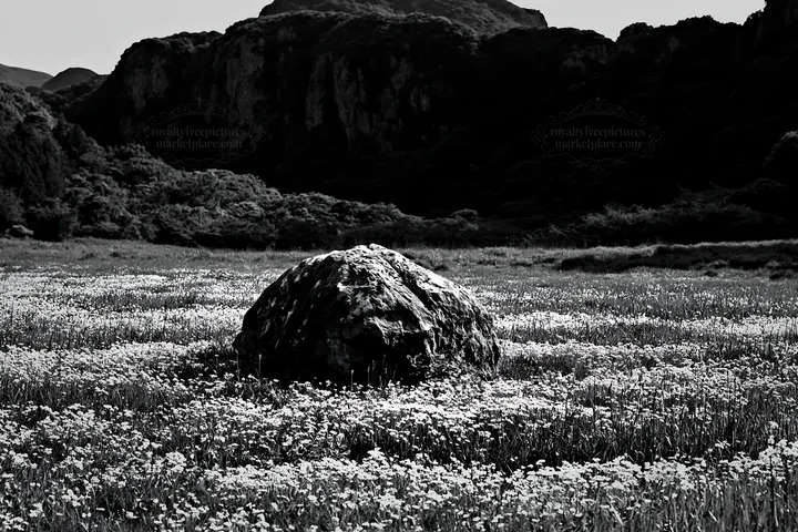 Black and white yamaguchi limestone meadow features a pale boulder - AI-generated stock image