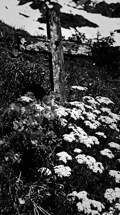 Weathered cross surrounded by flowers in snowy meadow - AI-generated stock image