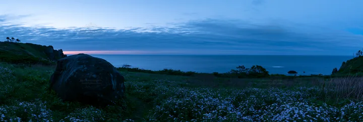 Aomori climate resilient meadow with boulder at dusk - AI-generated stock image