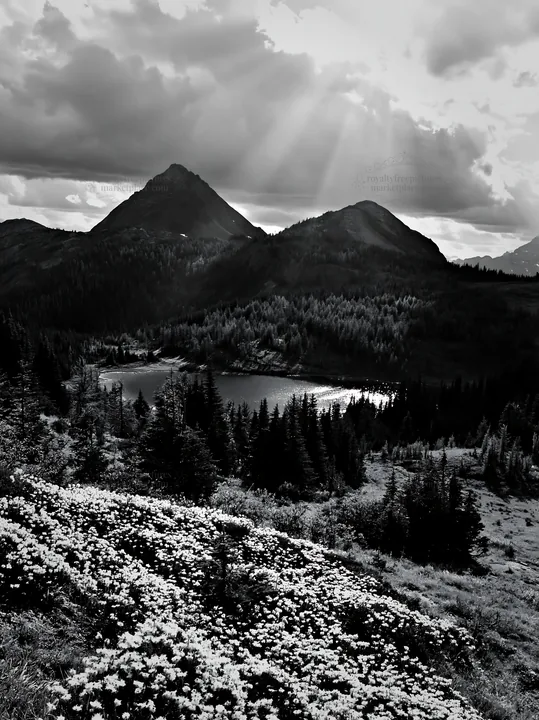 Sunshine Meadows Banff with light rays shining through clouds - AI-generated stock image