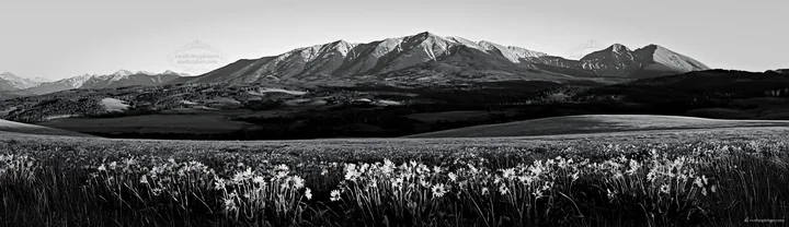 Rolling valley and mountains in black and white - AI-generated stock image