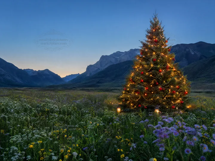 Christmas tree in mountain valley meadow at dusk - AI-generated stock image