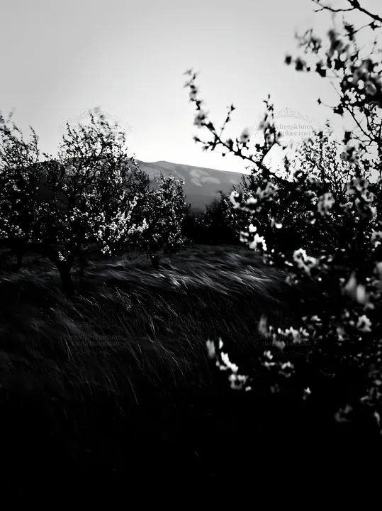 Moody orchard meadow with blooming trees and hills in background - AI-generated stock image