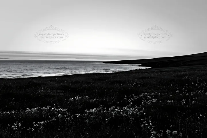 Meadow along the coast with a view of the calm sea - AI-generated stock image
