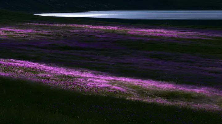 Swiss meadow with flowers beside alpine lake at dusk - AI-generated stock image