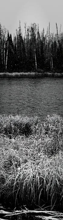 Black and white lakeside meadow after first snowfall with snow-covered grass - AI-generated stock image