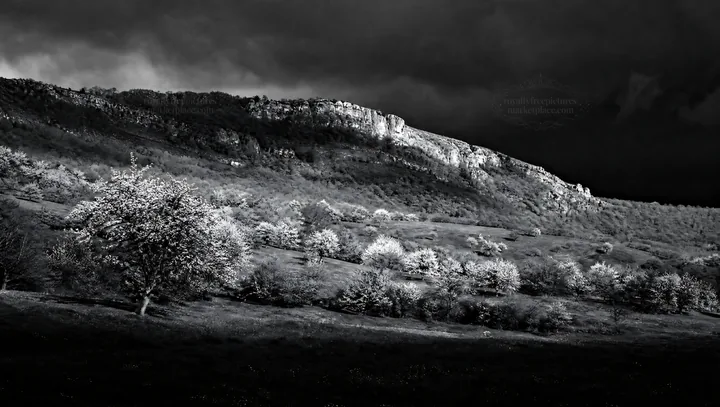 Black and white hillside apple meadow under cloudy sky with rocky cliffs - AI-generated stock image