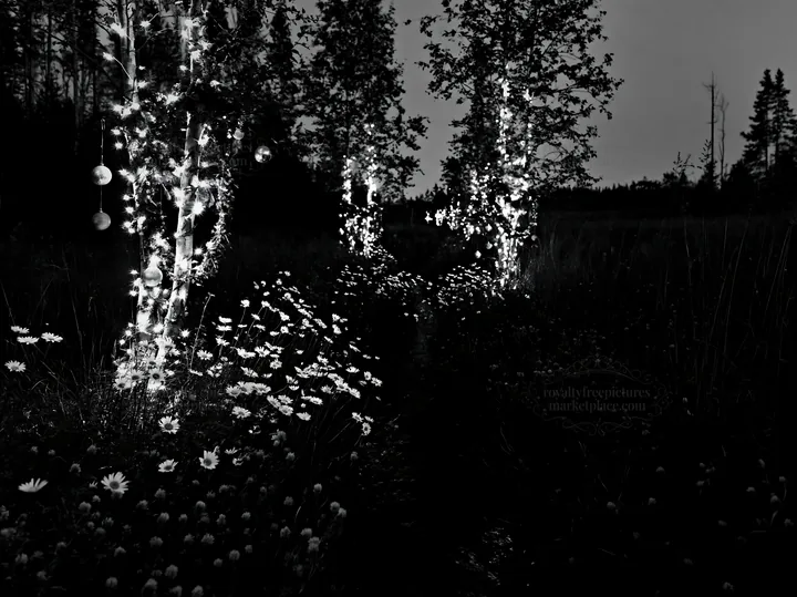 Christmas lights beside a stream in a meadow at dusk - AI-generated stock image