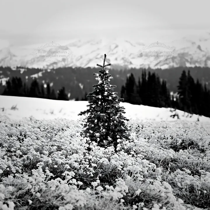 Christmas tree with lights in snowy mountain valley - AI-generated stock image