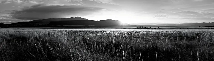 Miyazaki sunrise over meadow with dew covered sedges - AI-generated stock image