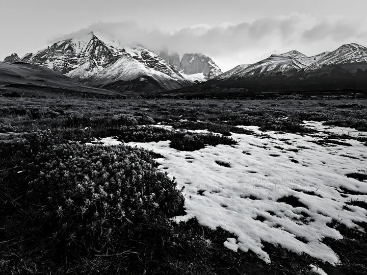 Snow in Torres del Paine meadow with mountains in background - AI-generated stock image