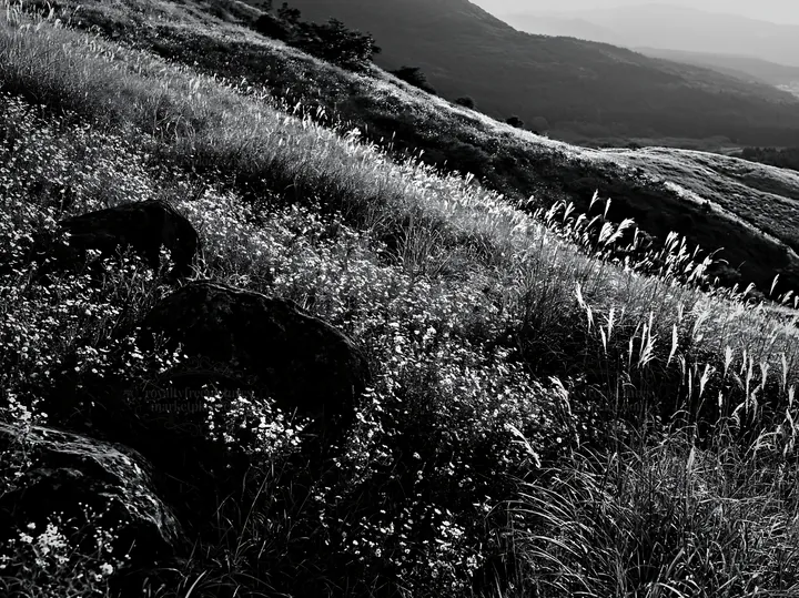 Black and white oita highland meadow with granite stones in natural setting - AI-generated stock image
