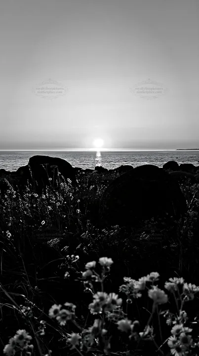 Sunset over boulders with flowers in a meadow - AI-generated stock image