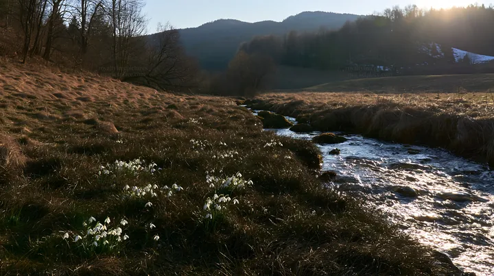 High contrast meadow with watercourse and white flowers - AI-generated stock image