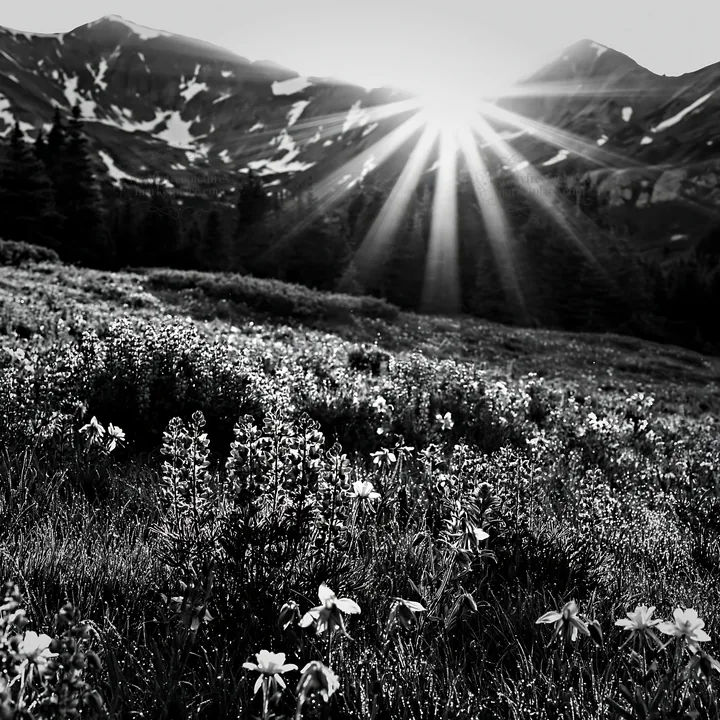 Sunrays shining over a meadow with flowers and mountains - AI-generated stock image