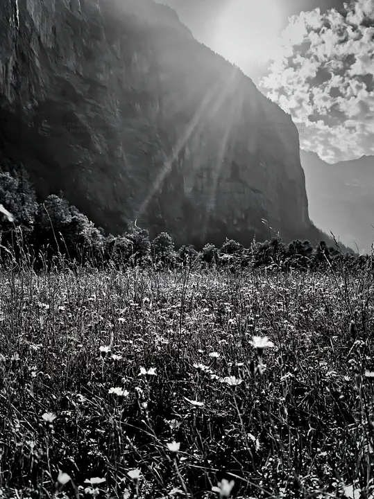 Light rays over meadow in Lauterbrunnen Valley - AI-generated stock image
